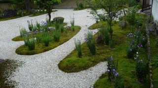 紫式部邸宅址に建つ寺院、桔梗のお寺としても隠れた名所です