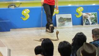 鍾乳洞はかなり長い