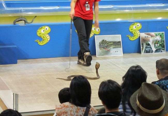 おきなわワールド クチコミ アクセス 営業時間 知念 玉城 八重瀬 フォートラベル おきなわワールド クチコミ アクセス 営業時間 知念 玉城 八重瀬 フォートラベル