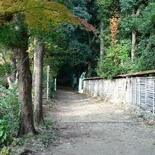 天下分け目の戦場となった天王山中腹の光景