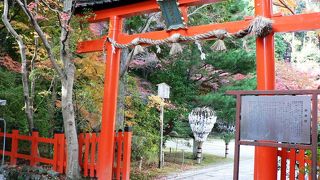 源氏物語に登場する大原野神社（おおはらのじんじゃ）