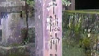 夫婦杉を廻って皆仲良くしましょう