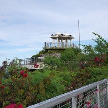 上まで行くと有料です