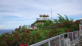 一度は見てみたかった