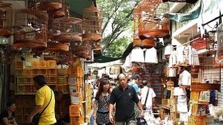 鳥好きは行くべし！