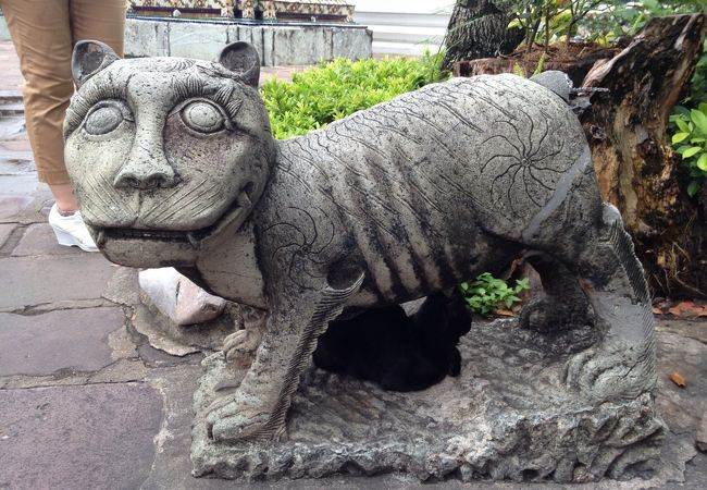 猫in猫