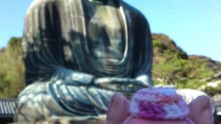 ツゲのお守りを買おう♪