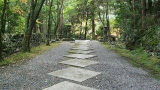 華やかな感じはまったくありません