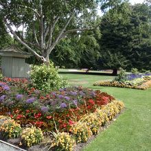 広い園内は、綺麗に手入れされています