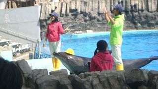 名古屋観光にはぜひ！