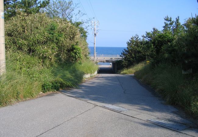 白尾海水浴場