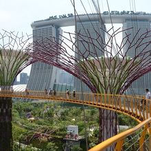 OCBCスカイウェイから見たマリーナ・ベイ・サンズのある街並