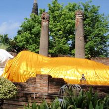 のどかに横たわっています