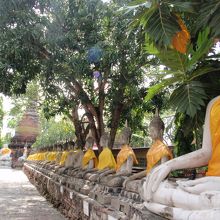 仏座像がたくさん