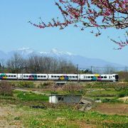 新府駅から至近、桃の花が一面に咲く後ろに、南アルプスや八ヶ岳を望む。