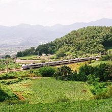 夏の勝沼付近。背景に塩山の街