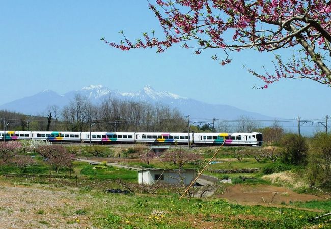 新府駅から至近、桃の花が一面に咲く後ろに、南アルプスや八ヶ岳を望む。
