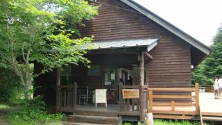 動物園ではありません