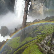 水量が多い時は、びしょぬれ覚悟で圧巻の虹！