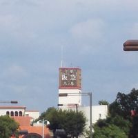 緑に囲まれたホテル