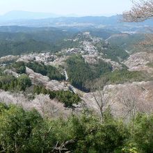 約３万本の吉野山の桜