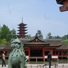 厳島神社から見える五重塔