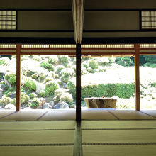 座敷に座ってのんびり庭園を眺めることができます