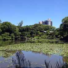 印月池（後ろにビルが見えるのが残念）