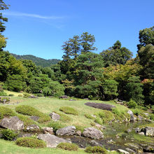 芝生やマツも丁寧に手入れがされていた