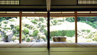 座敷に座ってのんびりいつまで眺めても飽きない庭