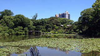 庭園内から周囲のビルが見えてしまうのが少し残念な庭園