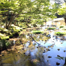 滝からの水が緩やかに庭園の池に流れています
