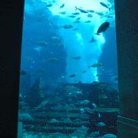 ホテル内の水族館