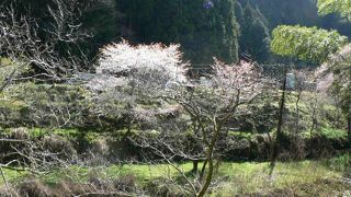 吉野山温泉