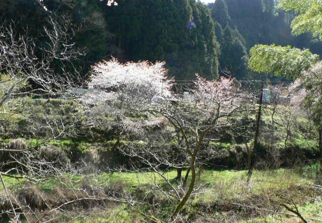 吉野山温泉