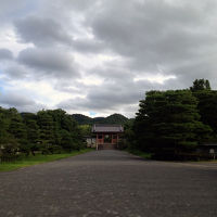 朝のお勤めに向かう途中の静かな参道