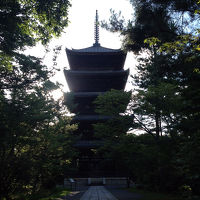 朝の静かな仁和寺を宿泊者だけが味わえます