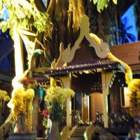 ホテル名にもなっている木は目印にもなります