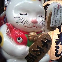 なんだか良いよね