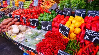 見てるだけで楽しい