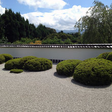 サツキが七五三調に配された正伝寺庭園