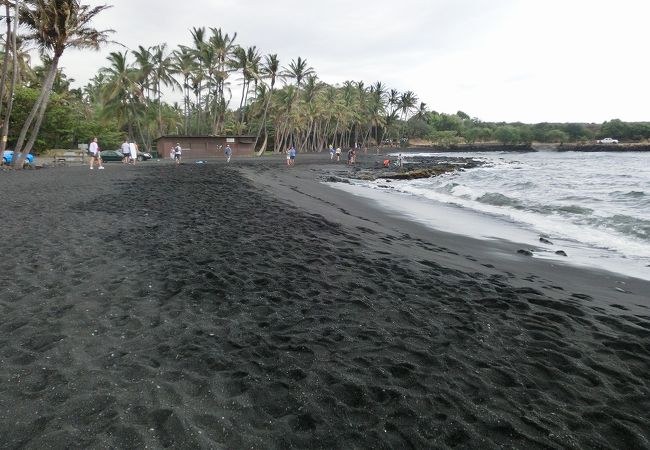 プナルウ黒砂海岸 クチコミ アクセス 営業時間 ハワイ島 フォートラベル プナルウ黒砂海岸 クチコミ アクセス 営業時間 ハワイ島 フォートラベル