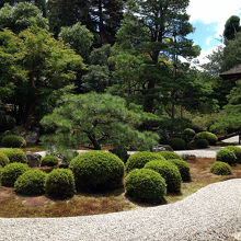 曼殊院門跡庭園