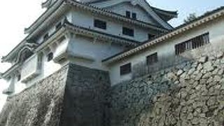 中々疲れます。