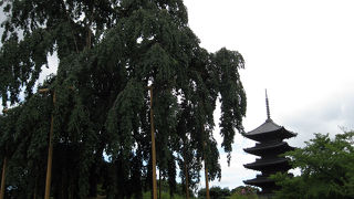 迫力かつ優美さに感動する仏像群