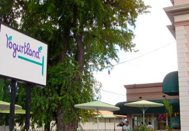 ヨーグルトランド (マノア店)