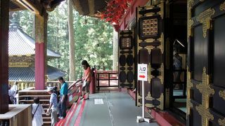 鳴き龍は、鈴のような鳴き声です