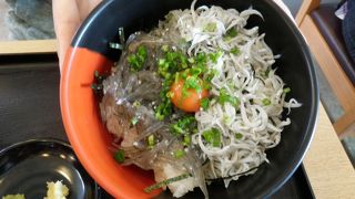 生シラス丼お勧めです