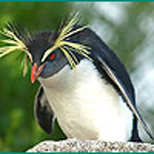 なんともおしゃれ！