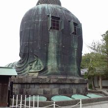 背中がさびしそうです。